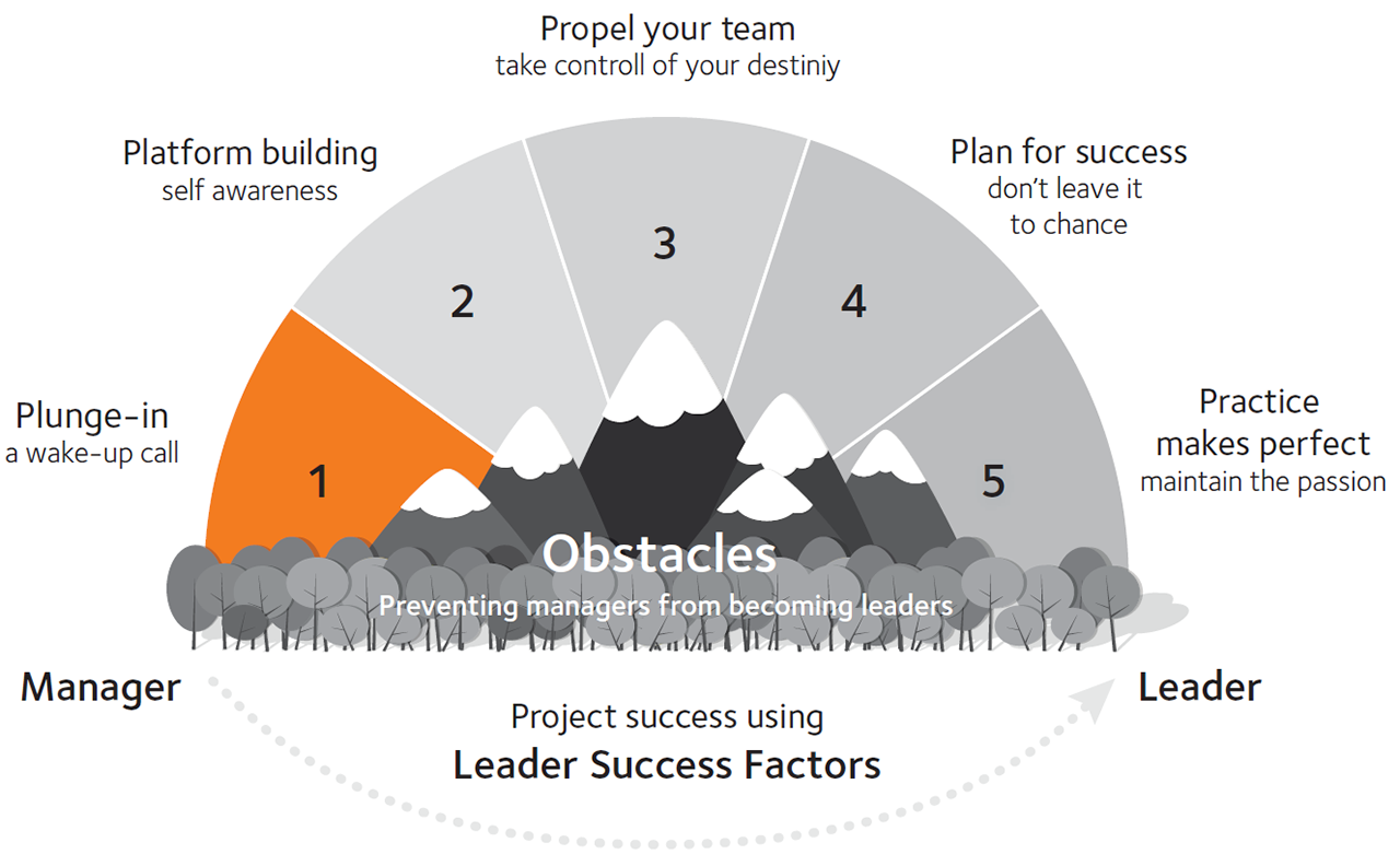 framework leadership