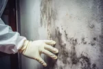 Mould inspector