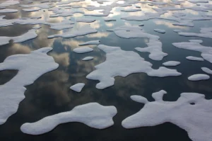 Arctic Ice Melt
