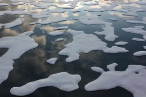 Arctic Ice Melt
